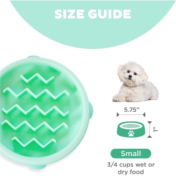 Slow feeder pet food bowl - Picture 5 of 5